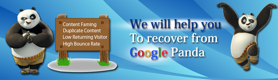 Google Panda Recovery Services India